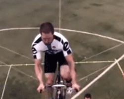 Appetizer