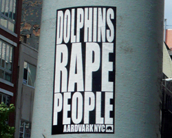 dolphins rape people