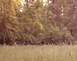 treptower park