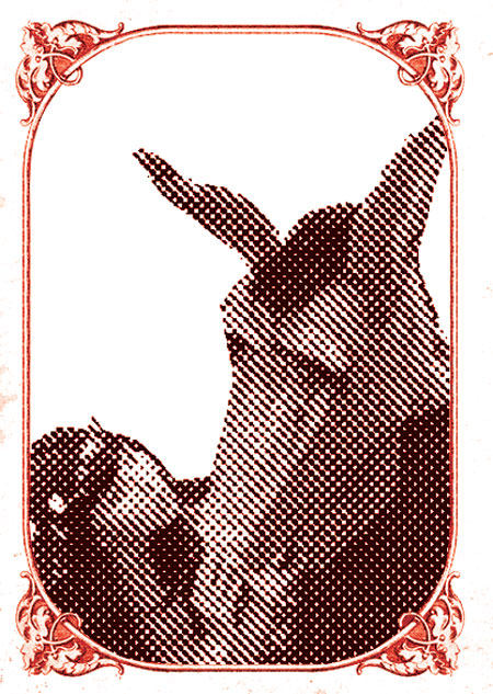 aurrekoa