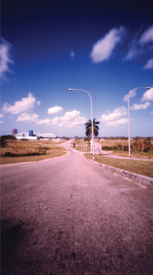 irudia
